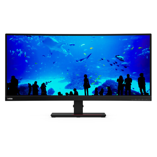 Lenovo ThinkVision T34w-20 34" 21:9 Ultrawide Curved WQHD VA Monitor